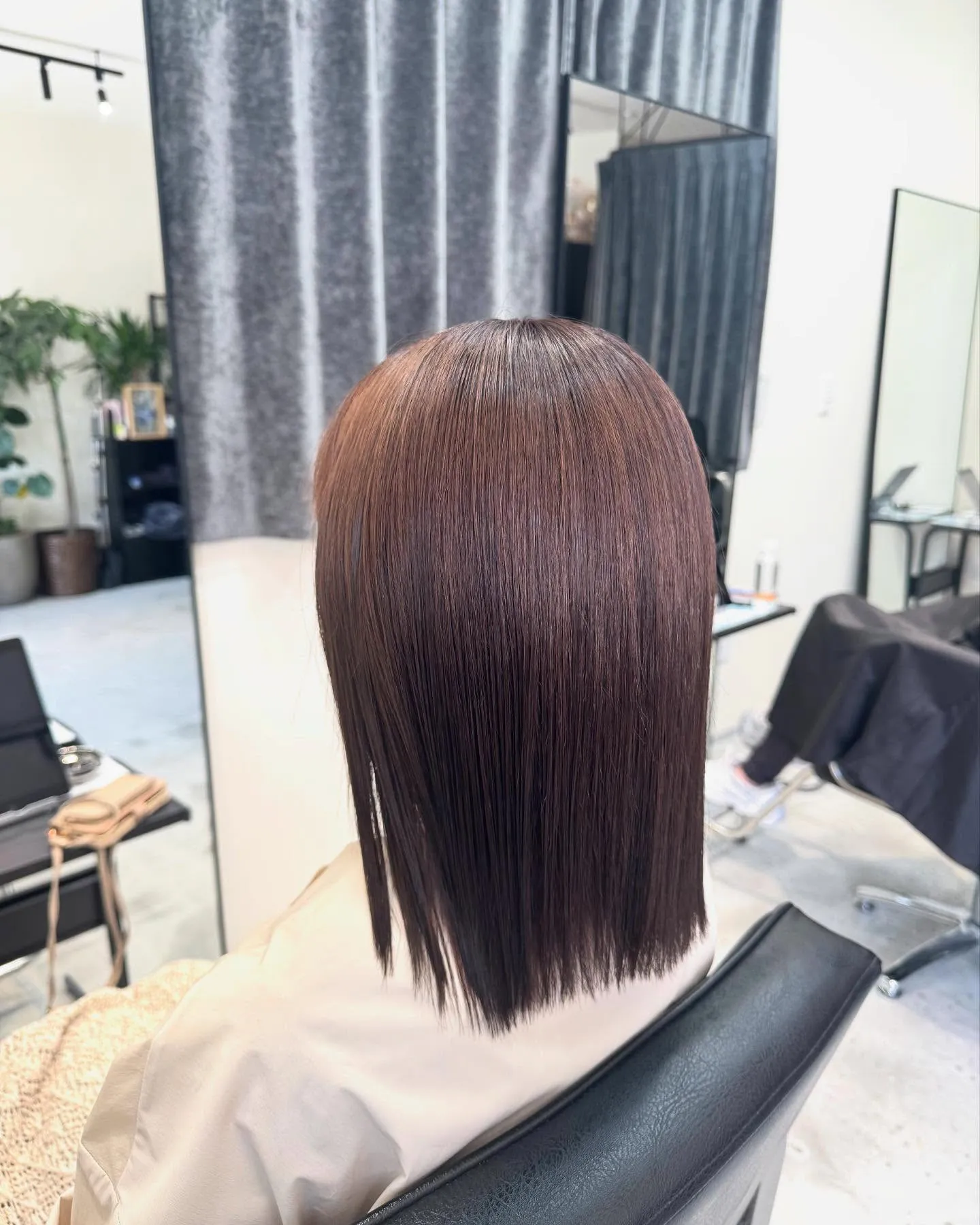 アッシュブラウン🤩