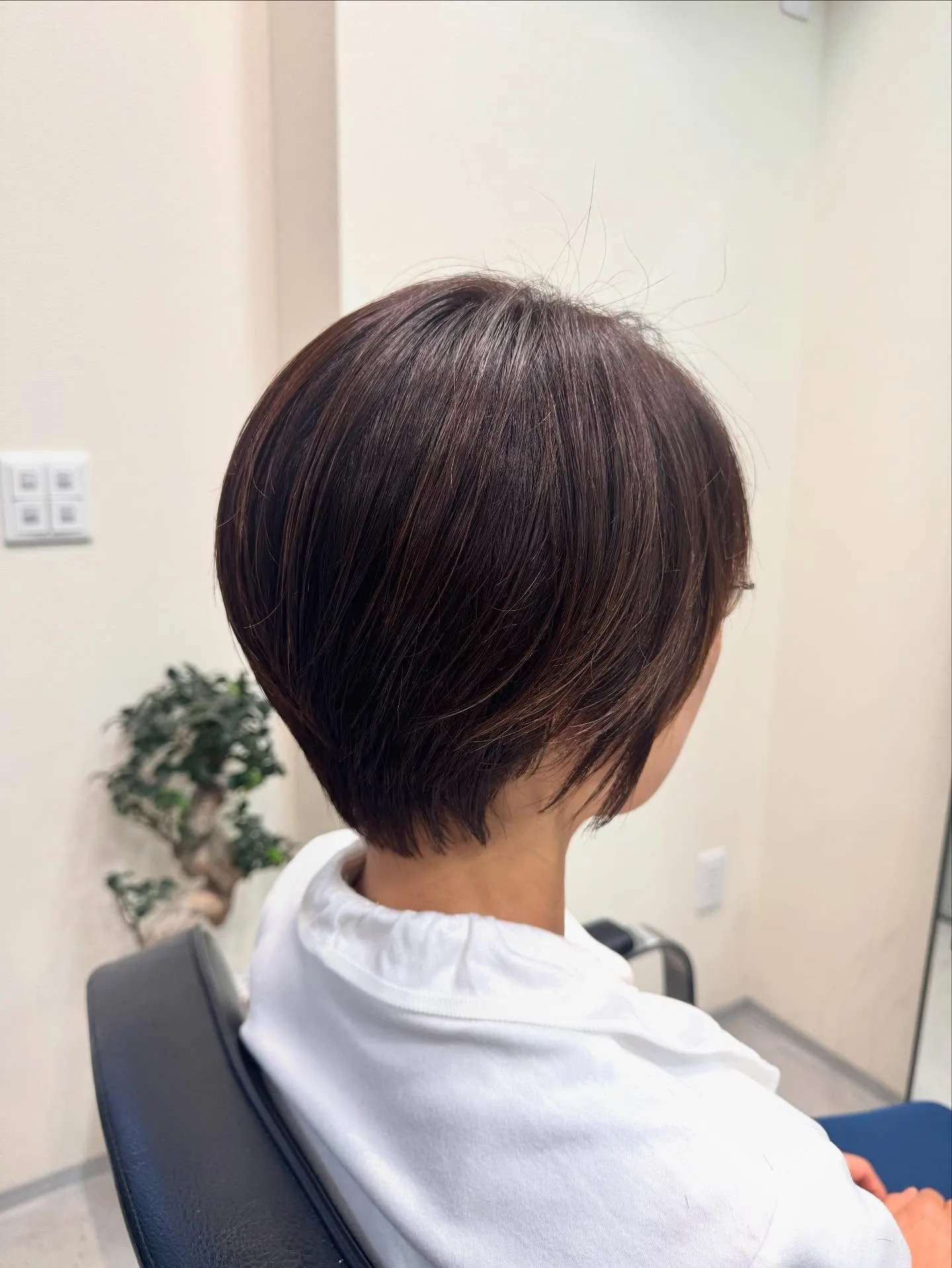 コンパクトショート🤩