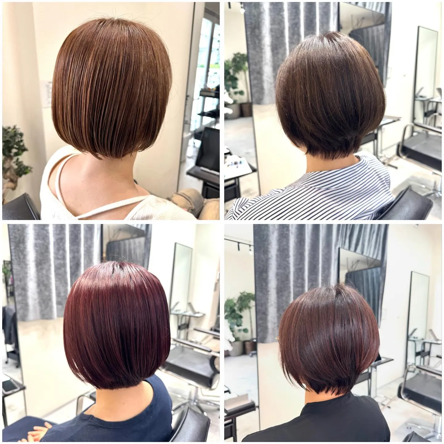 コンパクトショート🤩