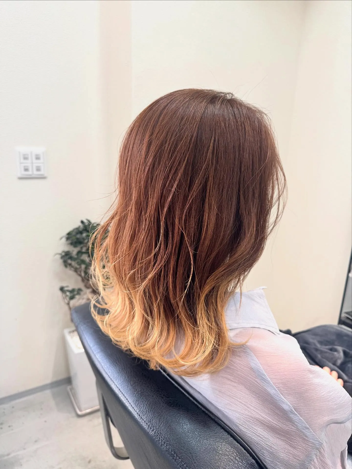 テールカラー🤩