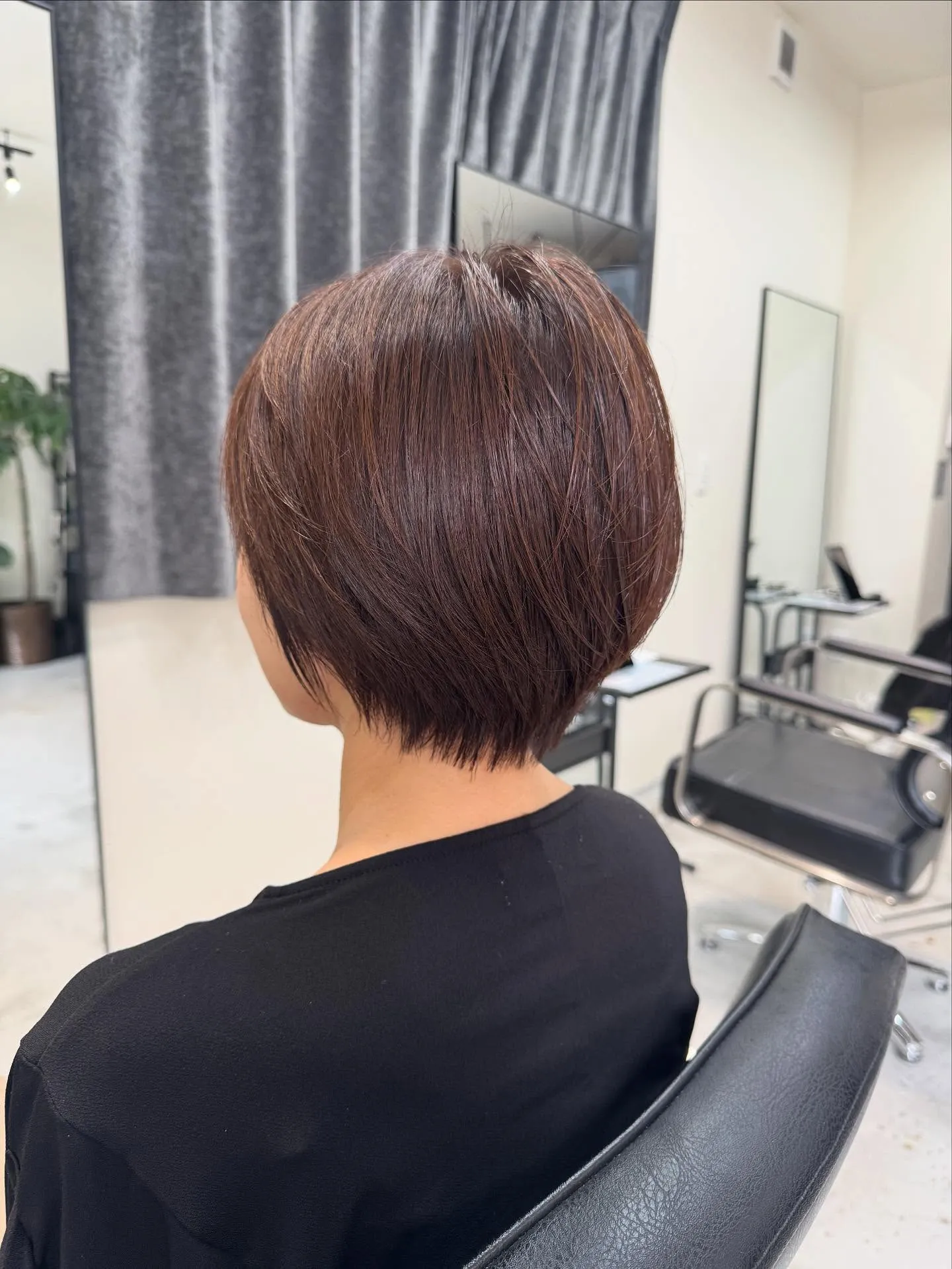 コンパクトショート🤩